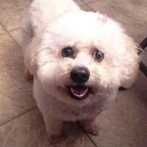 Meet your Posher, Cheryl